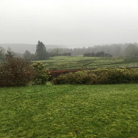 The Plain View * Boyle